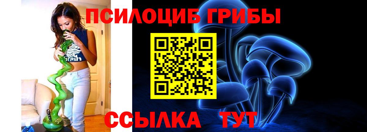 купить наркоту  Псилоцибиновые грибы Magic Shrooms  Саранск  Вход с VPN  Псилоцибиновые грибы Psilocybine cubensis 